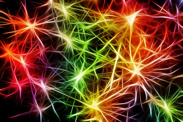 Le cerveau est capable de produire de nouveaux neurones, un processus appelé neurogenèse. La neurogenèse se produit prin
