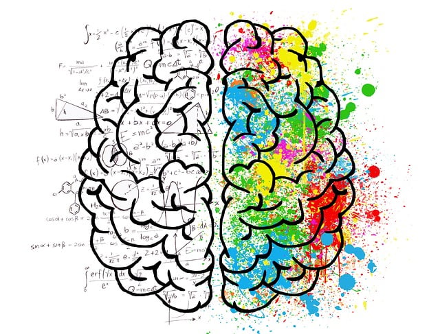 L'intelligence linguistique : la capacité à utiliser et comprendre les mots, à parler, à lire et à écrire.
L'intelligenc