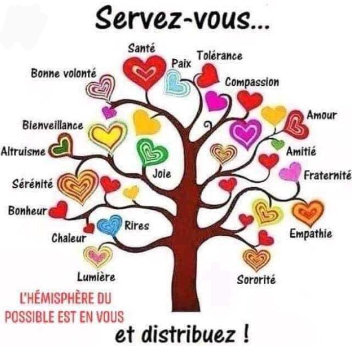 « Une partie du corps ne peut pas aller bien tant que l’ensemble ne va pas bien. »
Platon