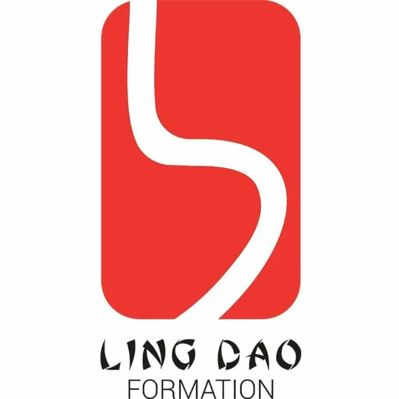 Centre Lingdao Formation