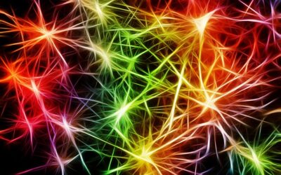 comment faire produire des neurones au cerveau