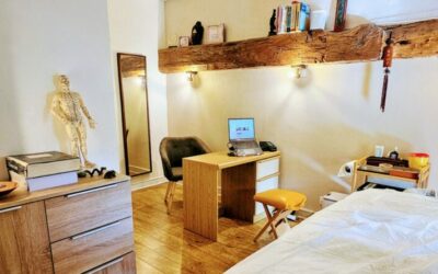 Bienvenue à Vincent Meunier Med. Trad Chinoise à Simandre