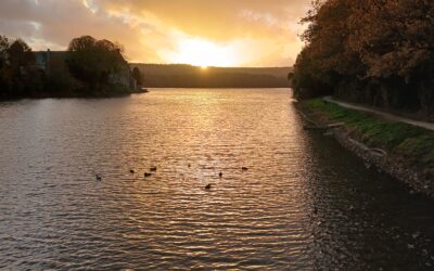 ☆ Instant Écriture ☆